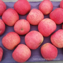 Nuevo FUJI fresco de alta calidad de la cosecha Apple